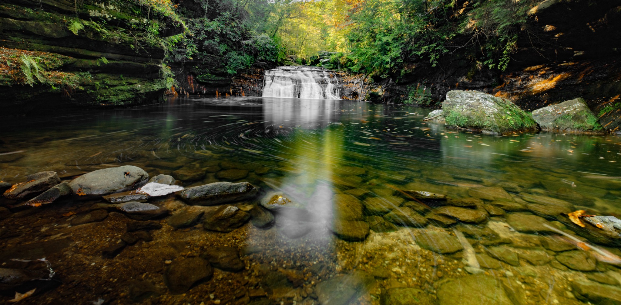 A gentle waterfall reflected in a clear forest pool